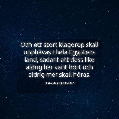 Picture 05 - 2 Mosebok 11:6 SV1917 - Och ett stort klagorop skall upphävas i hela - Bible Verse Picture