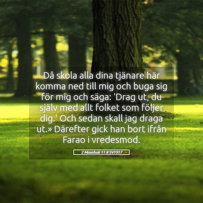 Picture 05 - 2 Mosebok 11:8 SV1917 - Då skola alla dina tjänare här komma ned till - Bible Verse Picture