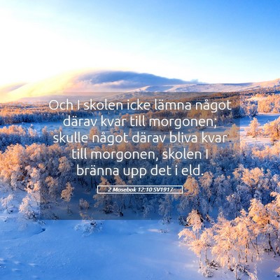 Picture 05 - 2 Mosebok 12:10 SV1917 - Och I skolen icke lämna något därav kvar till - Bible Verse Picture