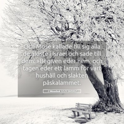 Picture 05 - 2 Mosebok 12:21 SV1917 - Och Mose kallade till sig alla de äldste i - Bible Verse Picture