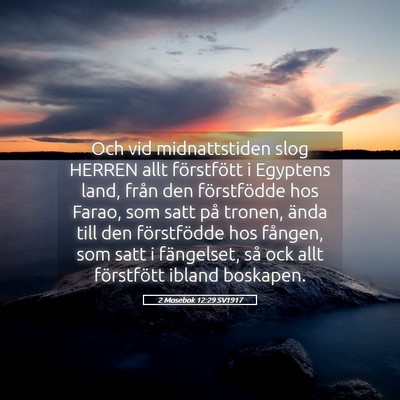 Picture 05 - 2 Mosebok 12:29 SV1917 - Och vid midnattstiden slog HERREN allt - Bible Verse Picture
