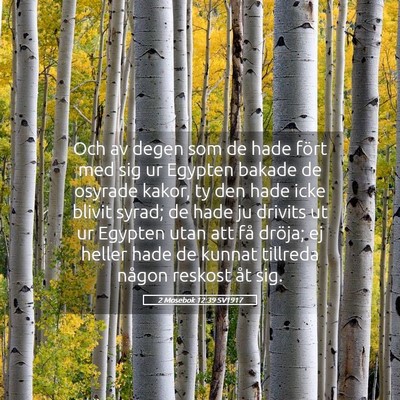 Picture 05 - 2 Mosebok 12:39 SV1917 - Och av degen som de hade fört med sig ur Egypten - Bible Verse Picture