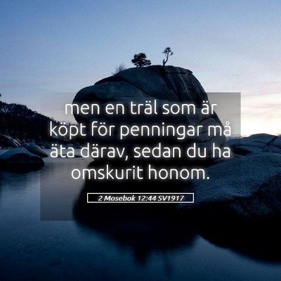 Picture 05 - 2 Mosebok 12:44 SV1917 - men en träl som är köpt för penningar må - Bible Verse Picture