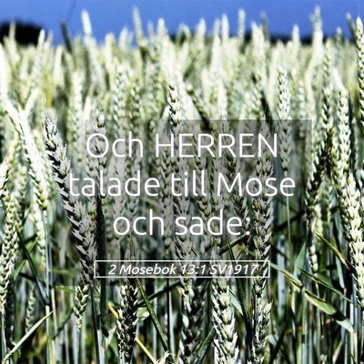 Picture 05 - 2 Mosebok 13:1 SV1917 - Och HERREN talade till Mose och - Bible Verse Picture