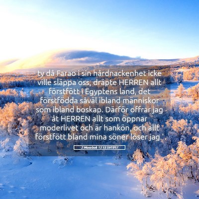 Picture 05 - 2 Mosebok 13:15 SV1917 - ty då Farao i sin hårdnackenhet icke ville - Bible Verse Picture