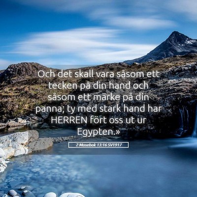 Picture 05 - 2 Mosebok 13:16 SV1917 - Och det skall vara såsom ett tecken på din hand - Bible Verse Picture