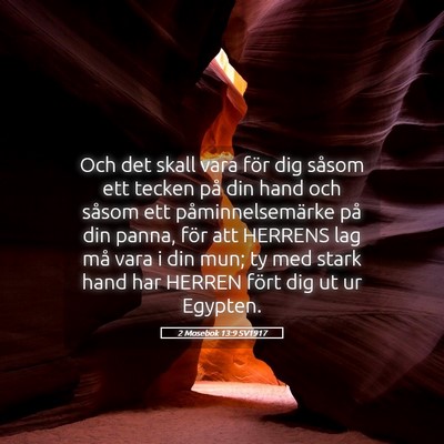 Picture 05 - 2 Mosebok 13:9 SV1917 - Och det skall vara för dig såsom ett tecken på - Bible Verse Picture