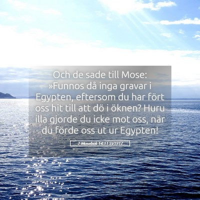 Picture 05 - 2 Mosebok 14:11 SV1917 - Och de sade till Mose: »Funnos då inga gravar i - Bible Verse Picture