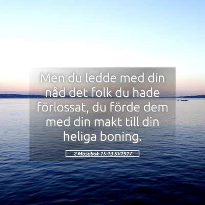 Picture 05 - 2 Mosebok 15:13 SV1917 - Men du ledde med din nåd det folk du hade - Bible Verse Picture