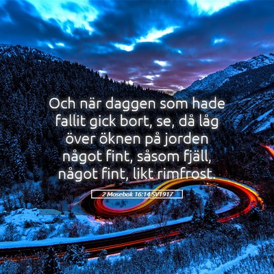 Picture 05 - 2 Mosebok 16:14 SV1917 - Och när daggen som hade fallit gick bort, se, - Bible Verse Picture