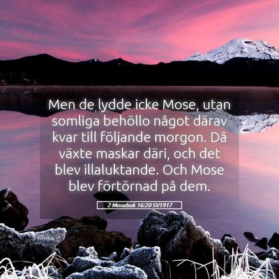 Picture 05 - 2 Mosebok 16:20 SV1917 - Men de lydde icke Mose, utan somliga behöllo - Bible Verse Picture