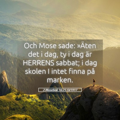 Picture 05 - 2 Mosebok 16:25 SV1917 - Och Mose sade: »Äten det i dag, ty i dag är - Bible Verse Picture