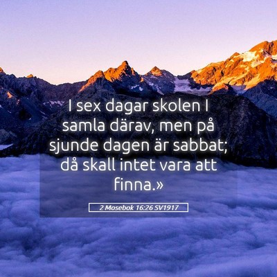 Picture 05 - 2 Mosebok 16:26 SV1917 - I sex dagar skolen I samla därav, men på sjunde - Bible Verse Picture