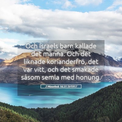 Picture 05 - 2 Mosebok 16:31 SV1917 - Och Israels barn kallade det manna. Och det - Bible Verse Picture