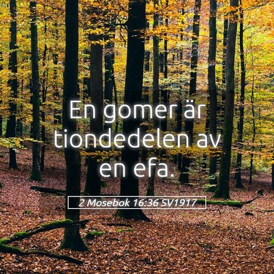 Picture 05 - 2 Mosebok 16:36 SV1917 - En gomer är tiondedelen av en - Bible Verse Picture