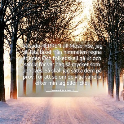 Picture 05 - 2 Mosebok 16:4 SV1917 - Då sade HERREN till Mose: »Se, jag vill låta - Bible Verse Picture
