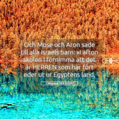 Picture 05 - 2 Mosebok 16:6 SV1917 - Och Mose och Aron sade till alla Israels barn: - Bible Verse Picture