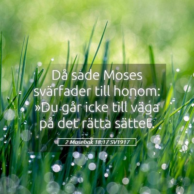 Picture 05 - 2 Mosebok 18:17 SV1917 - Då sade Moses svärfader till honom: »Du går - Bible Verse Picture