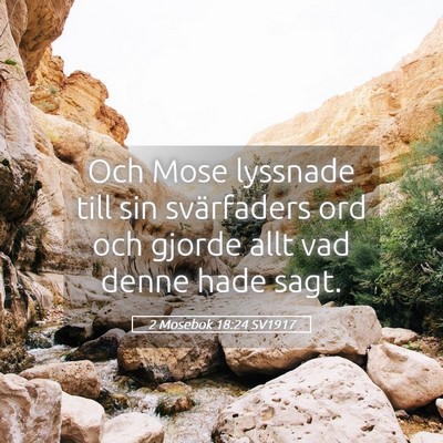 Picture 05 - 2 Mosebok 18:24 SV1917 - Och Mose lyssnade till sin svärfaders ord och - Bible Verse Picture