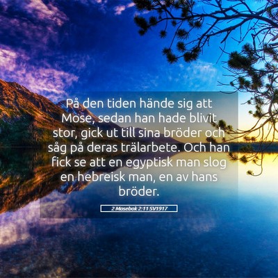 Picture 05 - 2 Mosebok 2:11 SV1917 - På den tiden hände sig att Mose, sedan han hade - Bible Verse Picture