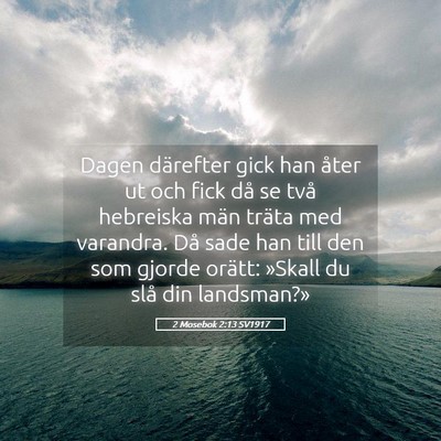 Picture 05 - 2 Mosebok 2:13 SV1917 - Dagen därefter gick han åter ut och fick då se - Bible Verse Picture