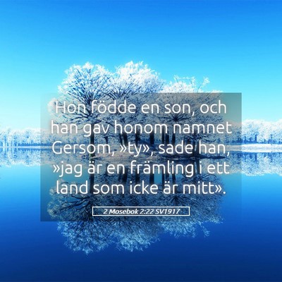 Picture 05 - 2 Mosebok 2:22 SV1917 - Hon födde en son, och han gav honom namnet - Bible Verse Picture