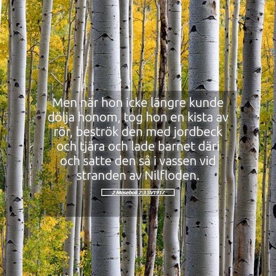 Picture 05 - 2 Mosebok 2:3 SV1917 - Men när hon icke längre kunde dölja honom, tog - Bible Verse Picture