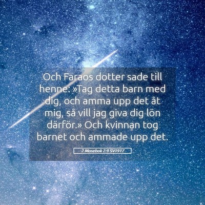 Picture 05 - 2 Mosebok 2:9 SV1917 - Och Faraos dotter sade till henne: »Tag detta - Bible Verse Picture