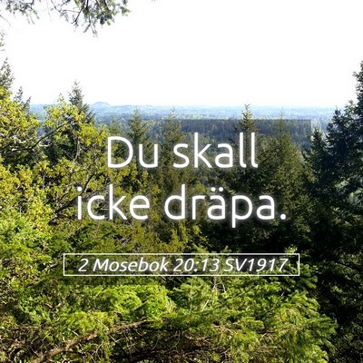 Picture 05 - 2 Mosebok 20:13 SV1917 - Du skall icke - Bible Verse Picture