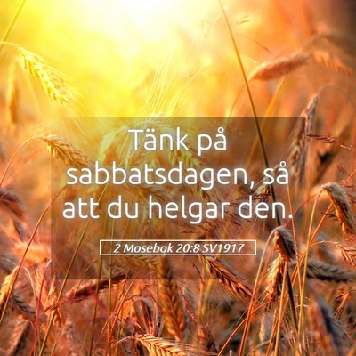 Picture 05 - 2 Mosebok 20:8 SV1917 - Tänk på sabbatsdagen, så att du helgar - Bible Verse Picture