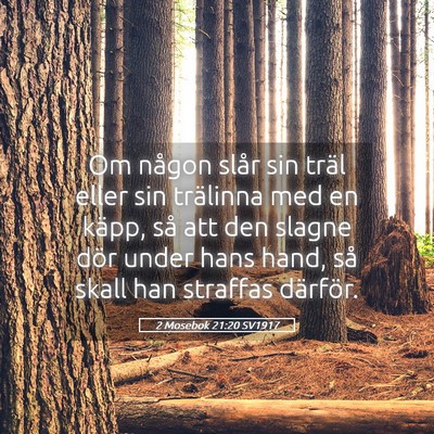Picture 05 - 2 Mosebok 21:20 SV1917 - Om någon slår sin träl eller sin trälinna med - Bible Verse Picture