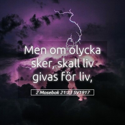 Picture 05 - 2 Mosebok 21:23 SV1917 - Men om olycka sker, skall liv givas för - Bible Verse Picture