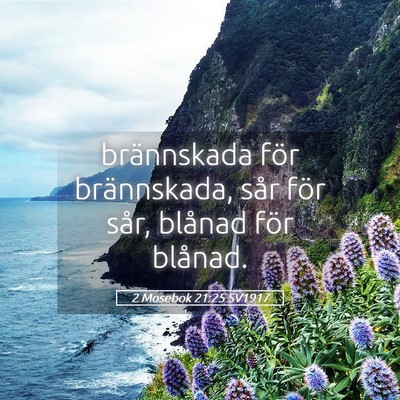 Picture 05 - 2 Mosebok 21:25 SV1917 - brännskada för brännskada, sår för sår, - Bible Verse Picture