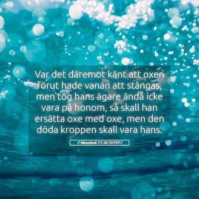 Picture 05 - 2 Mosebok 21:36 SV1917 - Var det däremot känt att oxen förut hade vanan - Bible Verse Picture