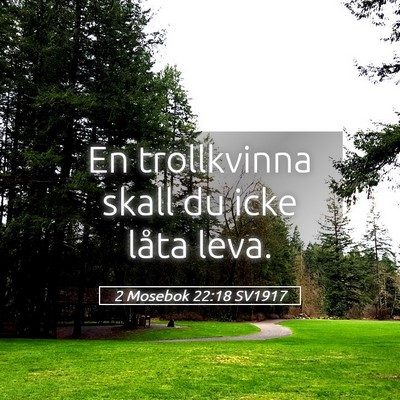 Picture 05 - 2 Mosebok 22:18 SV1917 - En trollkvinna skall du icke låta - Bible Verse Picture