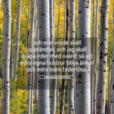 Picture 05 - 2 Mosebok 22:24 SV1917 - och min vrede skall upptändas, och jag skall - Bible Verse Picture