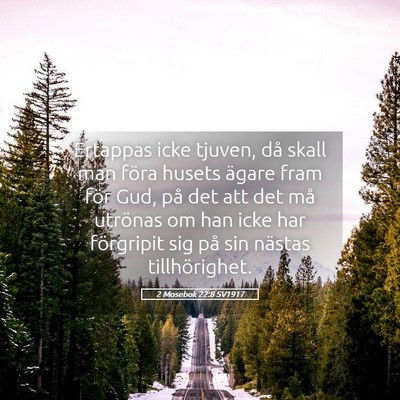 Picture 05 - 2 Mosebok 22:8 SV1917 - Ertappas icke tjuven, då skall man föra husets - Bible Verse Picture