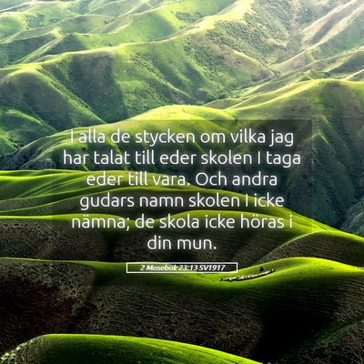 Picture 05 - 2 Mosebok 23:13 SV1917 - I alla de stycken om vilka jag har talat till - Bible Verse Picture