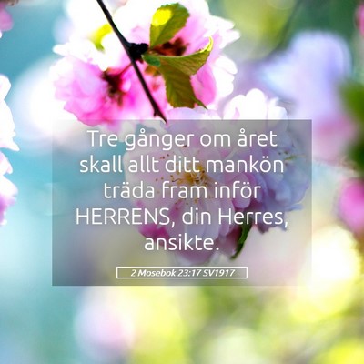 Picture 05 - 2 Mosebok 23:17 SV1917 - Tre gånger om året skall allt ditt mankön - Bible Verse Picture