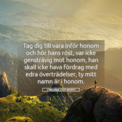 Picture 05 - 2 Mosebok 23:21 SV1917 - Tag dig till vara inför honom och hör hans - Bible Verse Picture