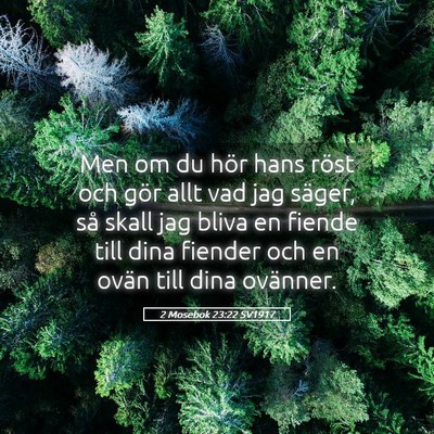 Picture 05 - 2 Mosebok 23:22 SV1917 - Men om du hör hans röst och gör allt vad jag - Bible Verse Picture