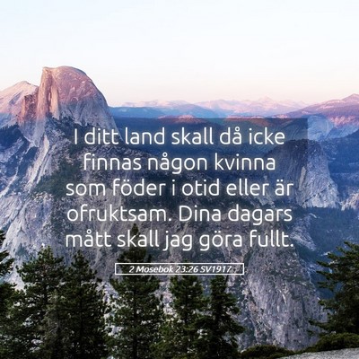 Picture 05 - 2 Mosebok 23:26 SV1917 - I ditt land skall då icke finnas någon kvinna - Bible Verse Picture