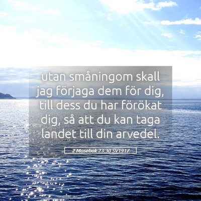 Picture 05 - 2 Mosebok 23:30 SV1917 - utan småningom skall jag förjaga dem för dig, - Bible Verse Picture