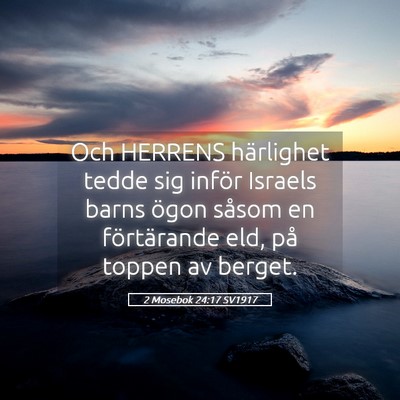 Picture 05 - 2 Mosebok 24:17 SV1917 - Och HERRENS härlighet tedde sig inför Israels - Bible Verse Picture