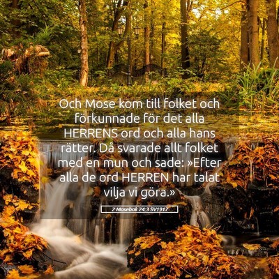 Picture 05 - 2 Mosebok 24:3 SV1917 - Och Mose kom till folket och förkunnade för det - Bible Verse Picture