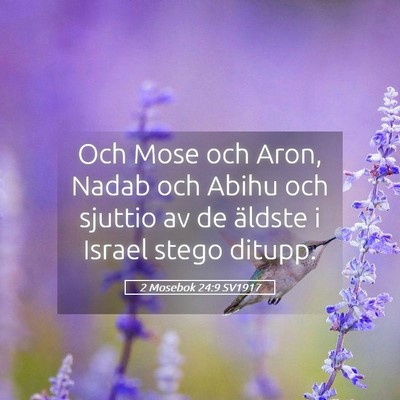 Picture 05 - 2 Mosebok 24:9 SV1917 - Och Mose och Aron, Nadab och Abihu och sjuttio av - Bible Verse Picture