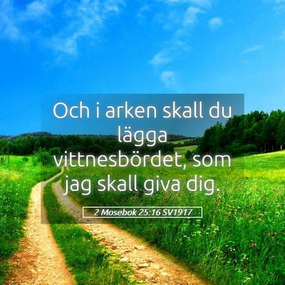 Picture 05 - 2 Mosebok 25:16 SV1917 - Och i arken skall du lägga vittnesbördet, som - Bible Verse Picture