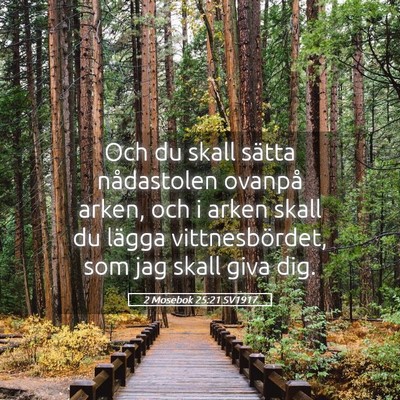 Picture 05 - 2 Mosebok 25:21 SV1917 - Och du skall sätta nådastolen ovanpå arken, - Bible Verse Picture