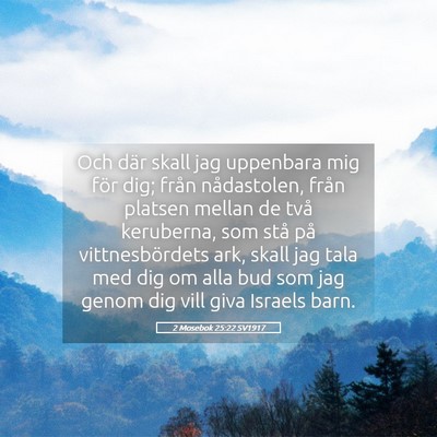 Picture 05 - 2 Mosebok 25:22 SV1917 - Och där skall jag uppenbara mig för dig; från - Bible Verse Picture