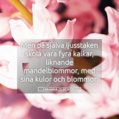 Picture 05 - 2 Mosebok 25:34 SV1917 - Men på själva ljusstaken skola vara fyra - Bible Verse Picture